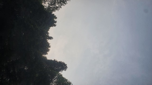 শীত জেঁকে বসছে দেশে: ঢাকা সহ সারাদেশে আগামী ৭ দিনের আবহাওয়া কেমন থাকবে